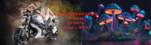 таблы Вяземский