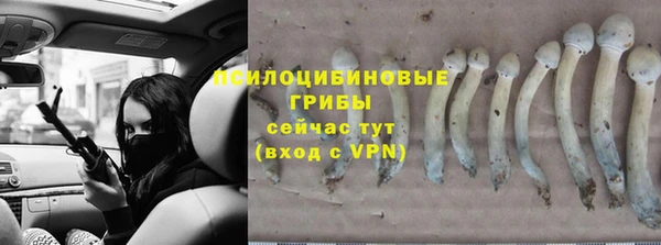 мескалин Вязьма