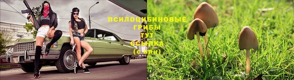 герыч Вязники