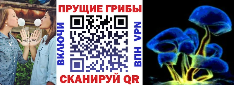Псилоцибиновые грибы GOLDEN TEACHER Тюмень